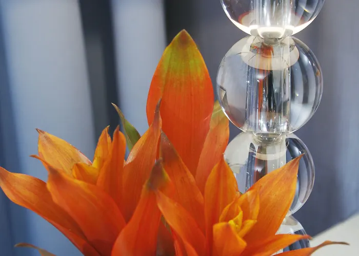 Château Frontenac Hotel