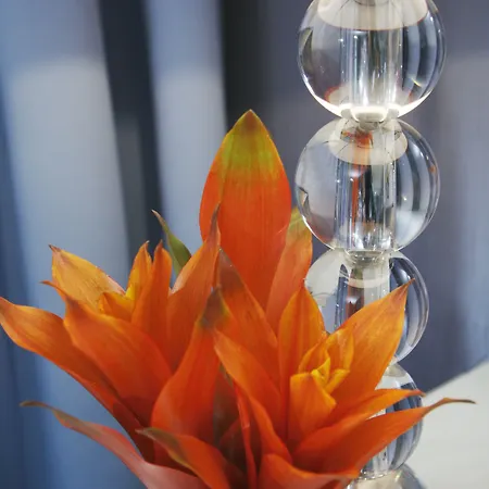 Chateau Frontenac فندق